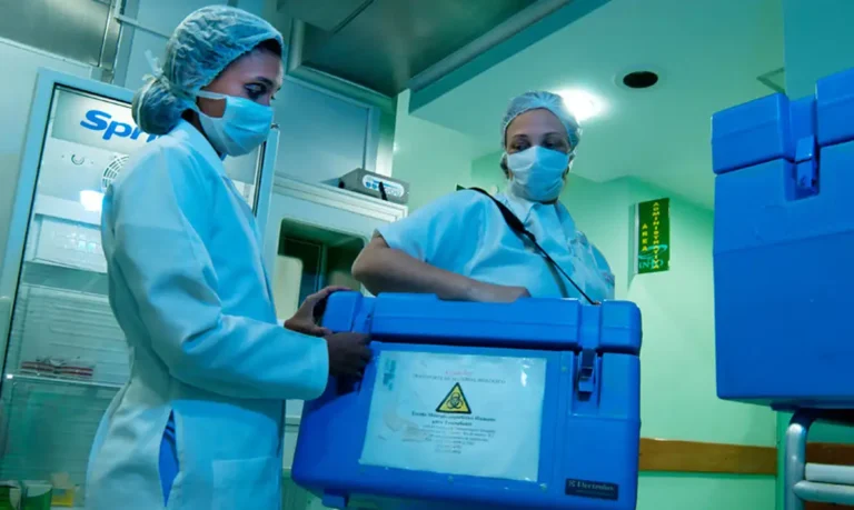 Brasil bate recorde: 31 mil transplantes em 2025