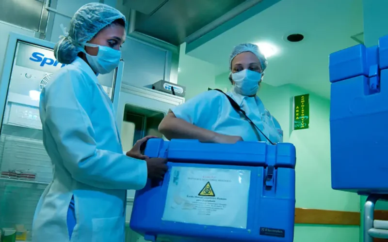 Brasil bate recorde: 31 mil transplantes em 2025