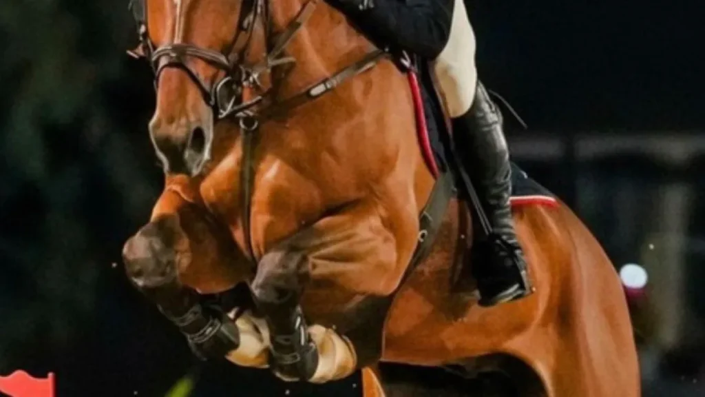 Candangão 2026: hipismo brasiliense reúne elite do salto em Brasília