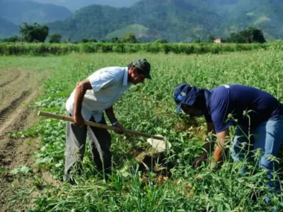 DF orienta regularização de ocupação em área rural
