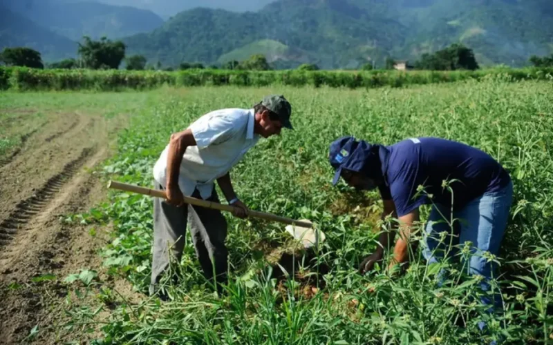 DF orienta regularização de ocupação em área rural