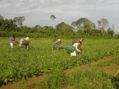 Agricultura familiar movimenta R$1 bi no DF em 2024