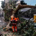 Rede elétrica: especialistas defendem investimento em resiliência