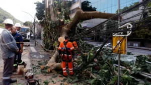 Rede elétrica: especialistas defendem investimento em resiliência