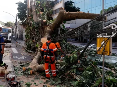 Rede elétrica: especialistas defendem investimento em resiliência